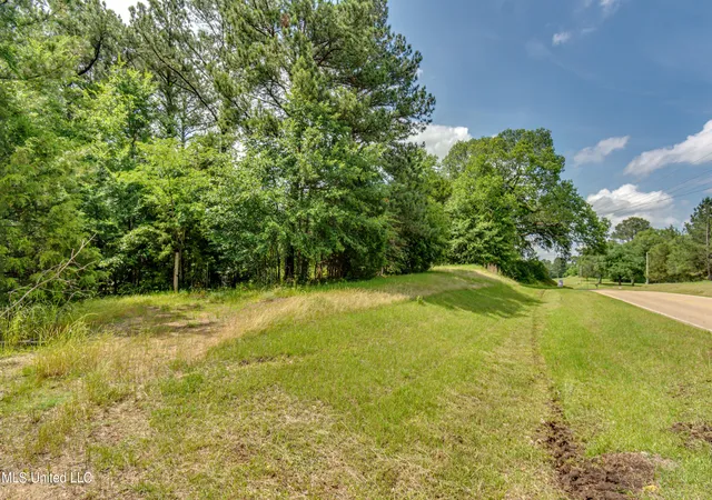 Photo 1 of Land for sale at N Livingston Rd, Madison, MS 39110 | MLS# 4047998 | Listing updated on 2026-08-21