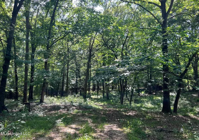 Photo 3 of Land for sale at N Livingston Rd, Madison, MS 39110 | MLS# 4047998 | Listing updated on 2026-08-21