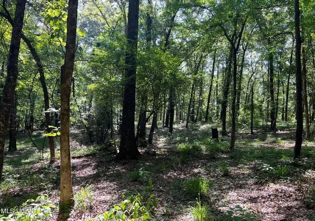Photo 3 of Land for sale at N Livingston Rd, Madison, MS 39110 | MLS# 4047998 | Listing updated on 2026-08-21