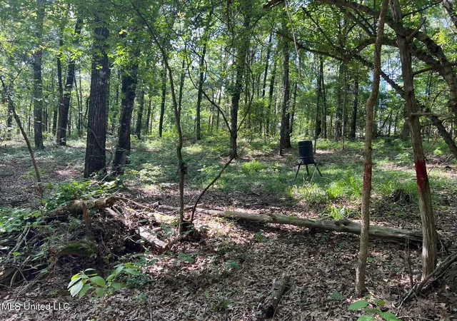 Photo 4 of Land for sale at N Livingston Rd, Madison, MS 39110 | MLS# 4047998 | Listing updated on 2026-08-21