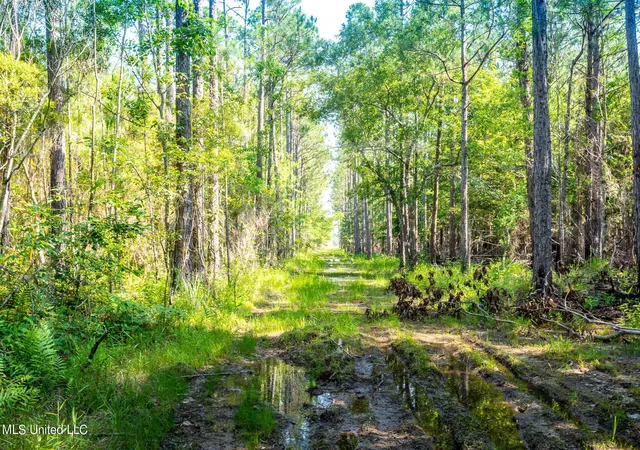 3rd image of 0 Lower Bay Rd, Bay Saint Louis, MS 39520 | MLS# 4048470