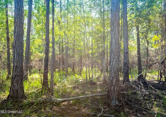 4th image of 0 Lower Bay Rd, Bay Saint Louis, MS 39520 | MLS# 4048470