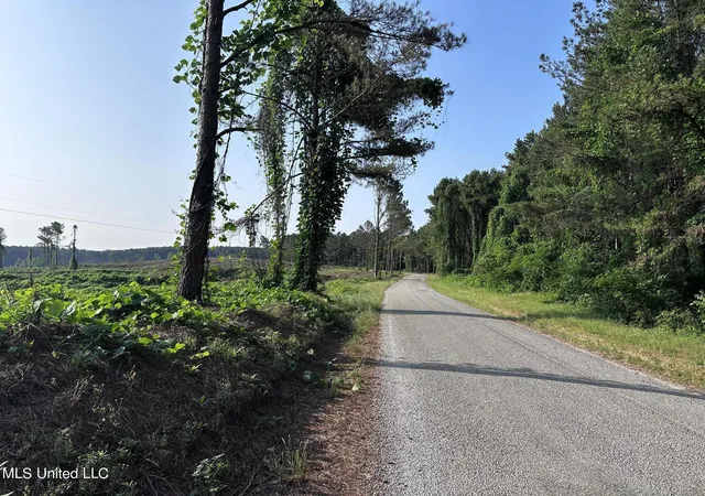 Homes for sale in Oxford, MS | Co Rd 309, Oxford, MS 38655 | MLS# 4050267