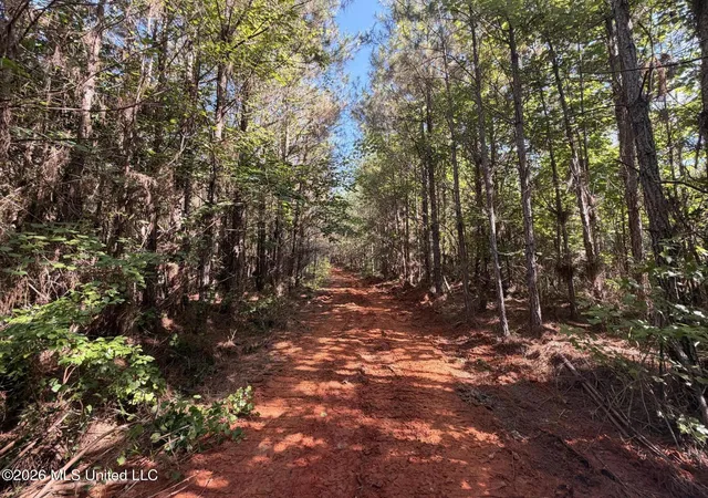 Homes for sale in Vaiden, MS | Tom Mans Road Road, Vaiden, MS 39176 | MLS# 4050368