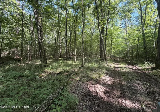 Homes for sale in Vaiden, MS | Tom Mans Road Road, Vaiden, MS 39176 | MLS# 4050368
