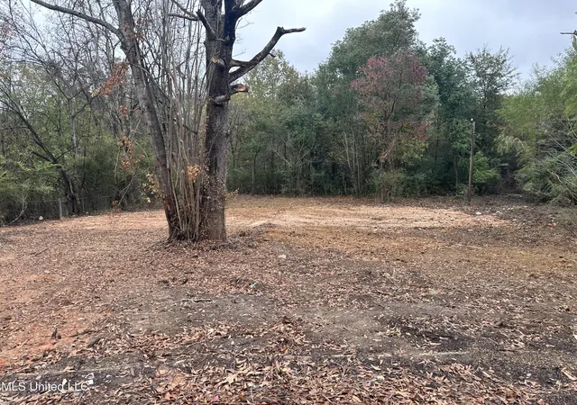 Photo 1 of Land for sale at 250 Queen Anne Ln, Jackson, MS 39209 | MLS# 4127753 | Listing updated on 2026-03-30