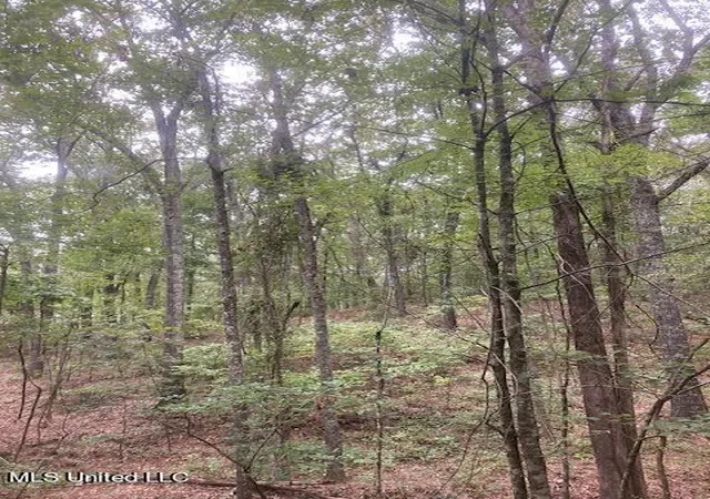 Photo 1 of Sale Pending at 0 Boswell Rd, Mount Pleasant, MS 38649 | MLS# 4058914 | Listing updated on 2026-03-30
