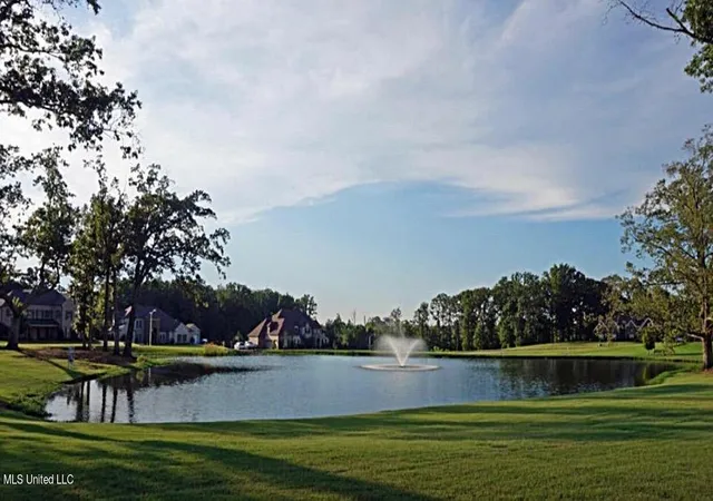 Photo 3 of Land for sale at 4515 Diamond Dr, Olive Branch, MS 38654 | MLS# 4060870 | Listing updated on 2026-07-27