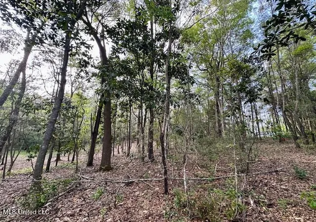Photo 1 of Land for sale at Simon Blvd, Ocean Springs, MS 39564 | MLS# 4063829 | Listing updated on 2026-04-09