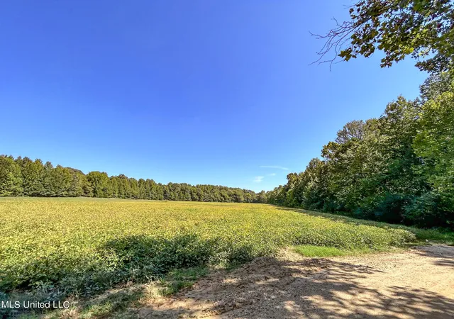 Homes for sale in Batesville, MS | 26tbd House Carlson Dr, Batesville, MS 38606 | MLS# 4064092