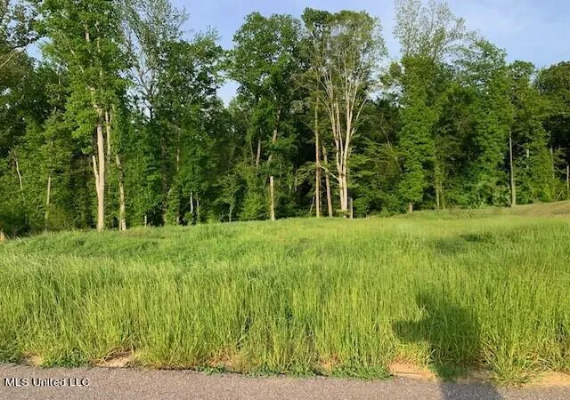 Photo 3 of Land for sale at 2914 S Cypress Lake Dr, Olive Branch, MS 38654 | MLS# 4064712 | Listing updated on 2026-03-30