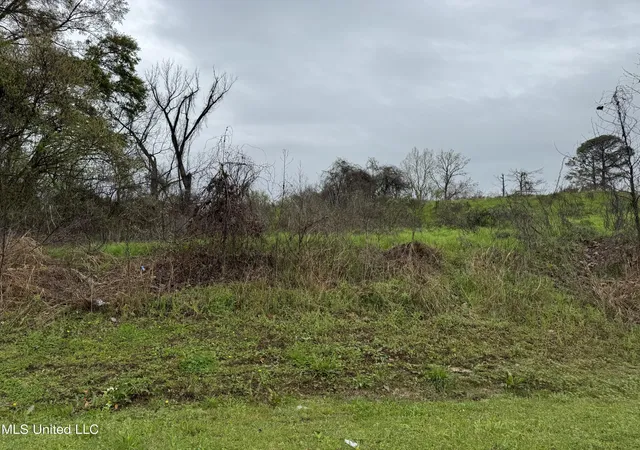 Photo 3 of Land for sale at Pierce St, Yazoo City, MS 39194 | MLS# 4074567 | Listing updated on 2026-03-30