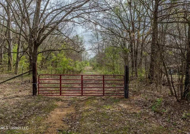 Photo 2 of Land for sale at 560 N Malone, Hernando, MS 38632 | MLS# 4074723 | Listing updated on 2026-04-11