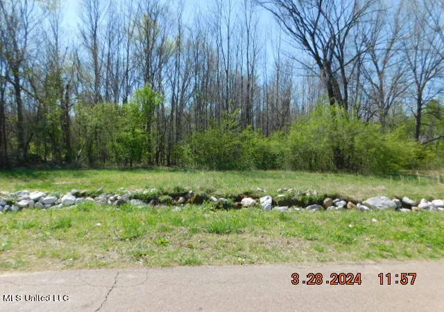 1st image of 0 Stockade Dr, Olive Branch, MS 38654 | MLS# 4074934