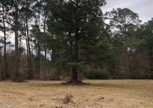 Photo 2 of Land for sale at 15654 Walter Smith Rd, Gulfport, MS 39503 | MLS# 4128918 | Listing updated on 2026-03-30