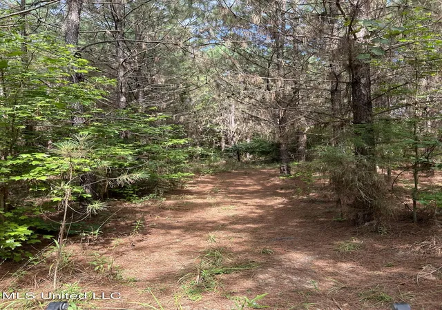 Homes for sale in West, MS | West Blvd, West, MS 39192 | MLS# 4086901