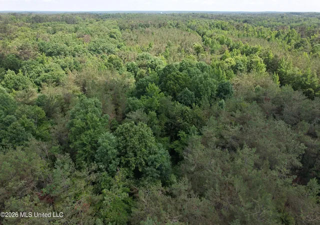 Homes for sale in West, MS | West Blvd, West, MS 39192 | MLS# 4086901