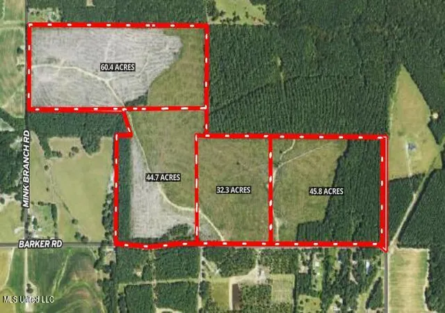 Photo 2 of Land for sale at Barker Rd, Pelahatchie, MS 39145 | MLS# 4087368 | Listing updated on 2026-07-23