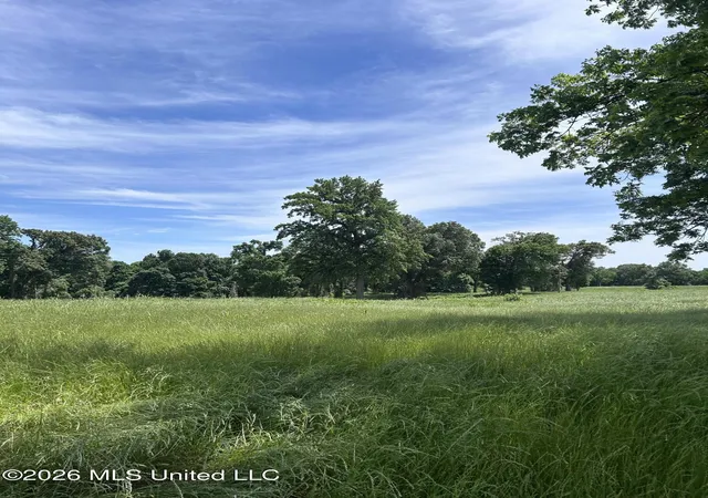 Photo 3 of Land for sale at Church Road, Walls, MS 38680 | MLS# 4087501 | Listing updated on 2026-08-01