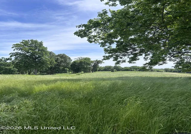 Photo 3 of Land for sale at Church Road, Walls, MS 38680 | MLS# 4087501 | Listing updated on 2026-08-01