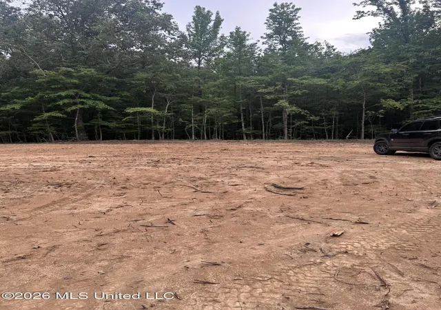 Homes for sale in Nesbit, MS | 6 Fogg Road, Nesbit, MS 38651 | MLS# 4087666