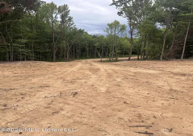 Homes for sale in Nesbit, MS | 6 Fogg Road, Nesbit, MS 38651 | MLS# 4087666