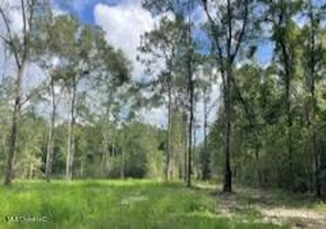 3rd image of Tanner Williams Rd -Parcel 1, Lucedale, MS 39452 | MLS# 4088202