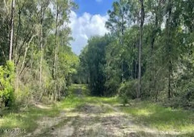 4th image of Tanner Williams Rd -Parcel 1, Lucedale, MS 39452 | MLS# 4088202