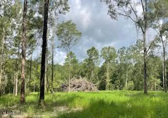 5th image of Tanner Williams Rd -Parcel 1, Lucedale, MS 39452 | MLS# 4088202