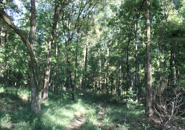 Photo 3 of Land for sale at 8420 Milne Way, Hernando, MS 38632 | MLS# 4088158 | Listing updated on 2026-07-28
