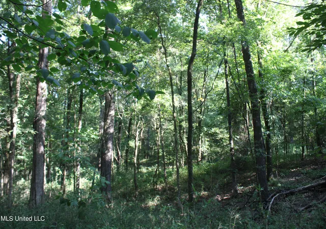 Photo 3 of Land for sale at 8420 Milne Way, Hernando, MS 38632 | MLS# 4088158 | Listing updated on 2026-07-28
