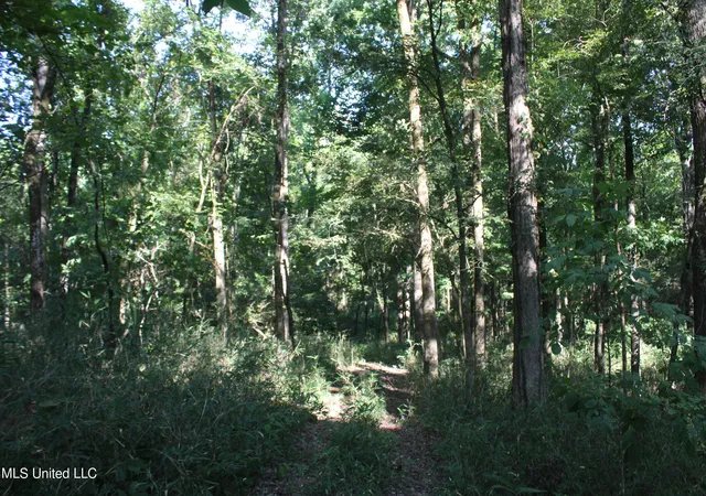 Photo 4 of Land for sale at 8420 Milne Way, Hernando, MS 38632 | MLS# 4088158 | Listing updated on 2026-07-28
