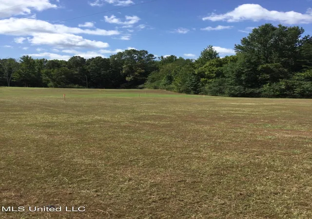 Homes for sale in Coldwater, MS | 0 Rowell Road, Coldwater, MS 38618 | MLS# 4089133
