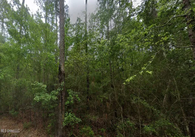 Photo 1 of Land for sale at 7th Street, Bay Saint Louis, MS 39520 | MLS# 4089482 | Listing updated on 2026-08-31