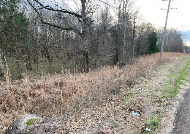 Photo 1 of Land for sale at 000 Magnolia Road, Clinton, MS 39056 | MLS# 4091311 | Listing updated on 2026-09-01