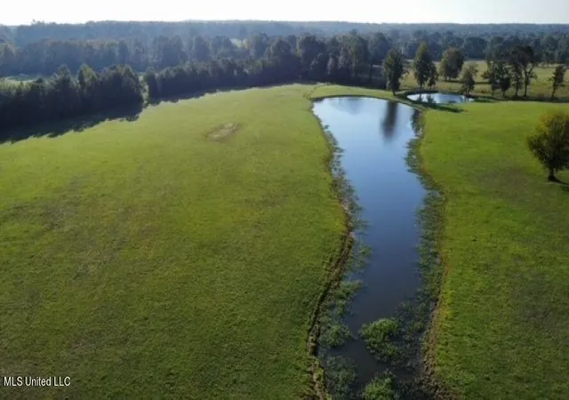 Photo 4 of Land for sale at 4115 Old Hwy 24, Mc Comb, MS 39648 | MLS# 4093158 | Listing updated on 2026-04-24