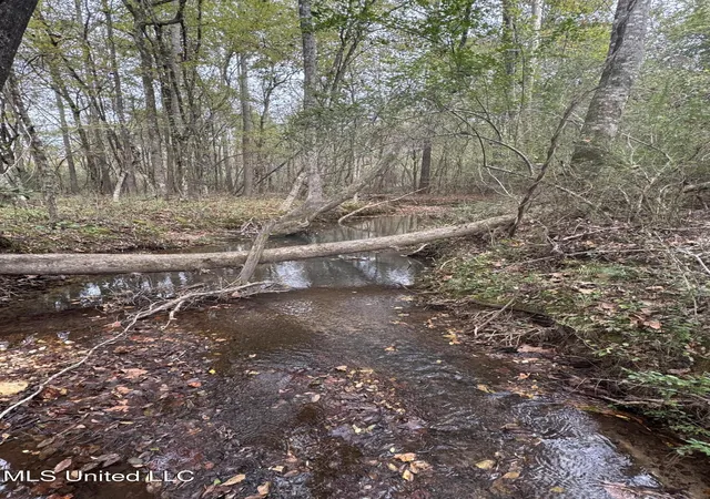 Homes for sale in Crystal Springs, MS | 0 E Burt Loop Rd, Crystal Springs, MS 39059 | MLS# 4095823