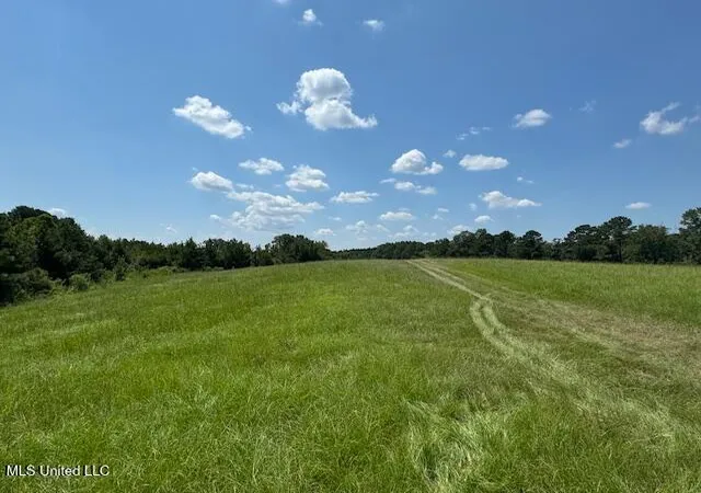Homes for sale in Crystal Springs, MS | 0 E Burt Loop Rd, Crystal Springs, MS 39059 | MLS# 4095823