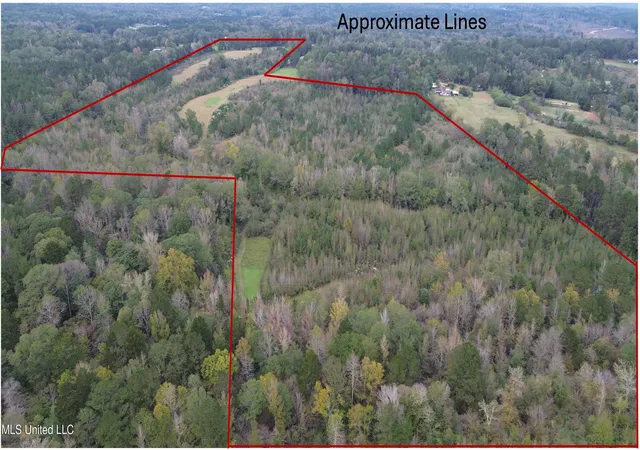 Homes for sale in Crystal Springs, MS | 0 E Burt Loop Rd, Crystal Springs, MS 39059 | MLS# 4095823