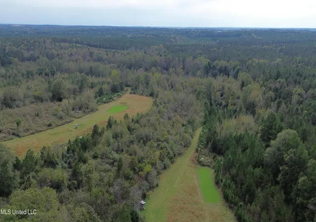 Homes for sale in Crystal Springs, MS | 0 E Burt Loop Rd, Crystal Springs, MS 39059 | MLS# 4095823