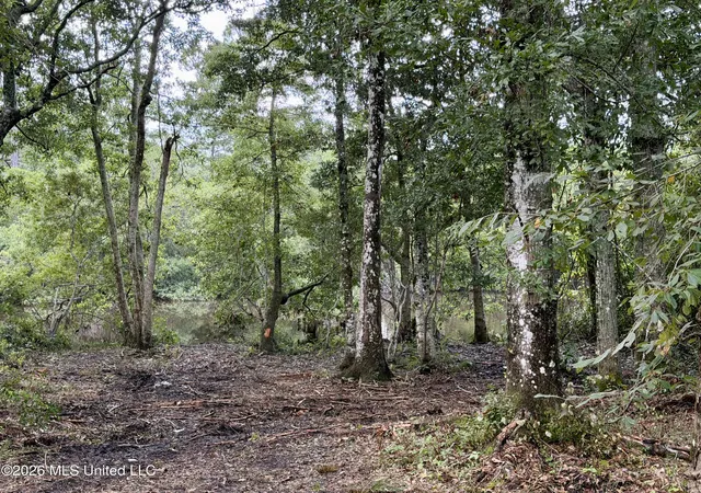 Photo 2 of Land for sale at 941 W Lakeshore Dr, Carriere, MS 39426 | MLS# 4096192 | Listing updated on 2026-07-23