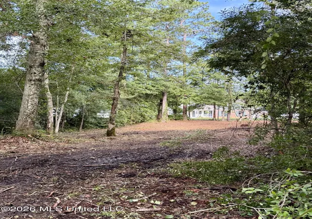 Photo 3 of Land for sale at 941 W Lakeshore Dr, Carriere, MS 39426 | MLS# 4096192 | Listing updated on 2026-07-23