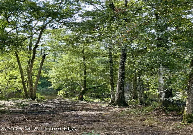 Photo 3 of Land for sale at 941 W Lakeshore Dr, Carriere, MS 39426 | MLS# 4096192 | Listing updated on 2026-10-09