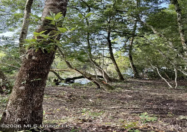 Photo 4 of Land for sale at 941 W Lakeshore Dr, Carriere, MS 39426 | MLS# 4096192 | Listing updated on 2026-10-09