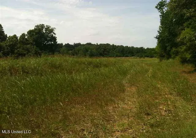Photo 2 of Land for sale at River Terminal Rd, Natchez, MS 39120 | MLS# 4097213 | Listing updated on 2026-06-16