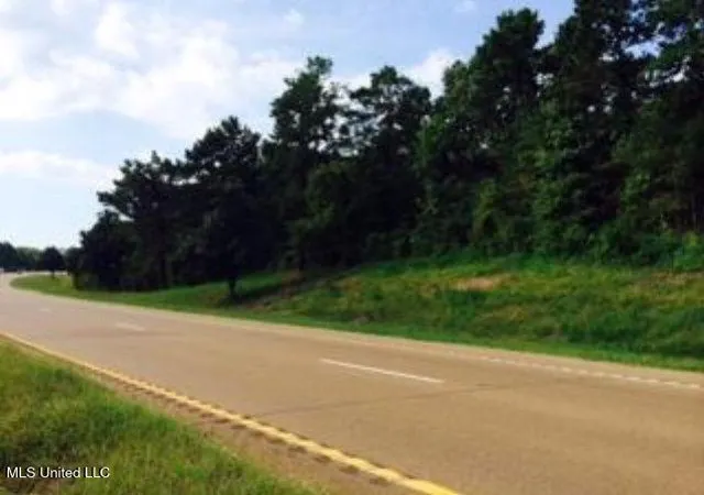 Photo 1 of Land for sale at S Hwy 61, Natchez, MS 39120 | MLS# 4099020 | Listing updated on 2026-08-17