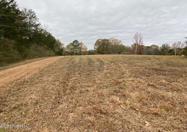 Homes for sale in Senatobia, MS | 2085 Yellowdog Road, Senatobia, MS 38668 | MLS# 4098187