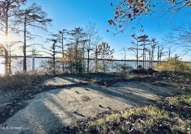 Homes for sale in Woodville, MS | 0 E/S Lake Mary Rd, Woodville, MS 39669 | MLS# 4099051