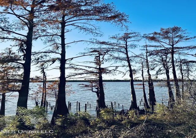 Homes for sale in Woodville, MS | 0 E/S Lake Mary Rd, Woodville, MS 39669 | MLS# 4099051