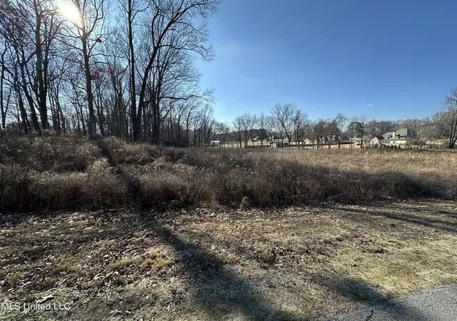 Homes for sale in Nesbit, MS | 4889 Austin Rd, Nesbit, MS 38651 | MLS# 4099425